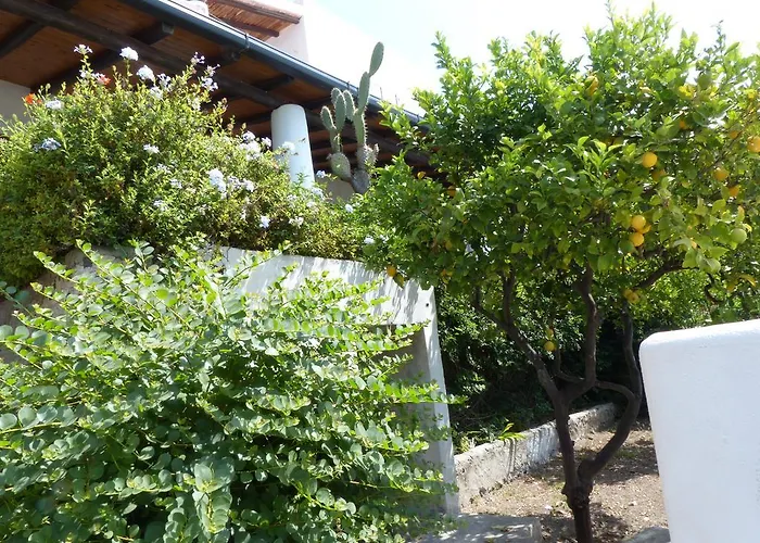 Casa Athena بيت للعطل ليباري